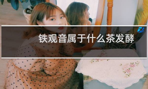 铁观音属于什么茶发酵
