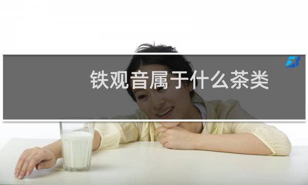 铁观音属于什么茶类