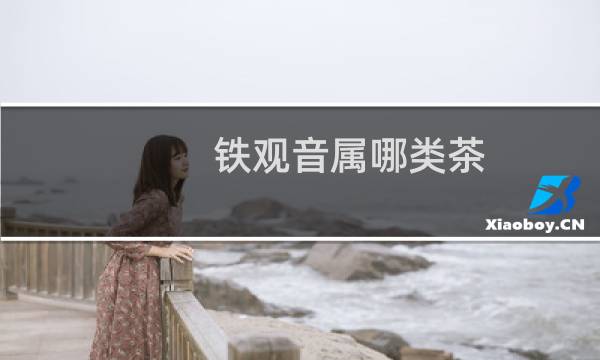 铁观音属哪类茶