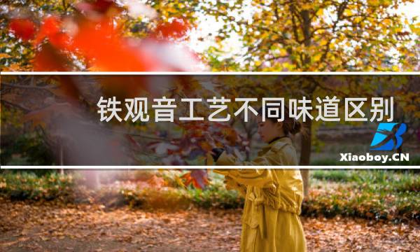 铁观音工艺不同味道区别