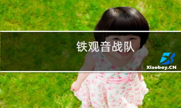 铁观音战队 电脑的18号