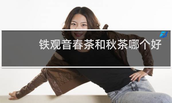 铁观音春茶和秋茶哪个好