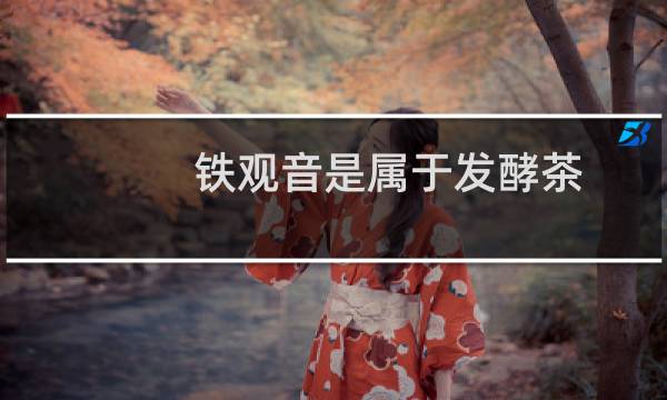 铁观音是属于发酵茶