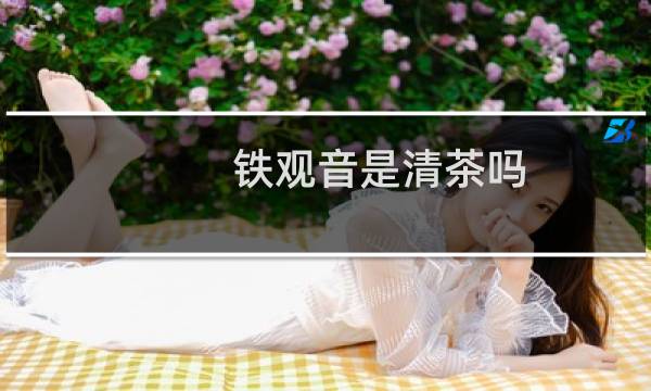 铁观音是清茶吗