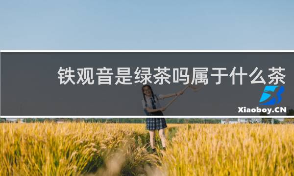铁观音是绿茶吗属于什么茶