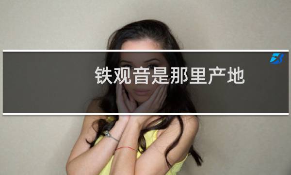 铁观音是那里产地
