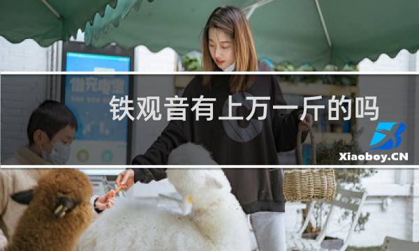 铁观音有上万一斤的吗