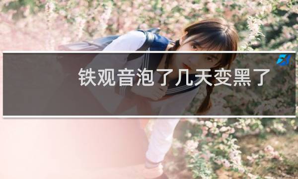 铁观音泡了几天变黑了