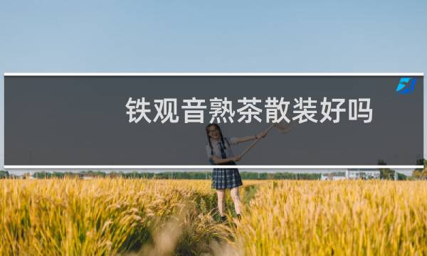 铁观音熟茶散装好吗