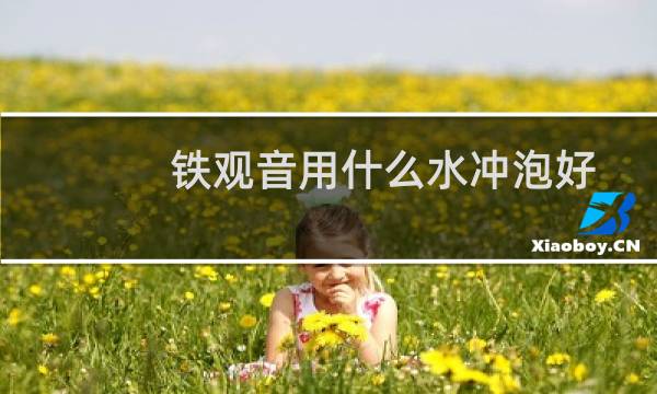 铁观音用什么水冲泡好