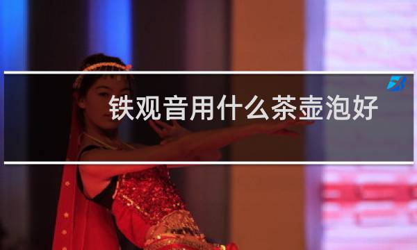 铁观音用什么茶壶泡好