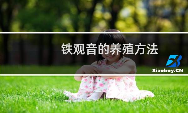 铁观音的养殖方法