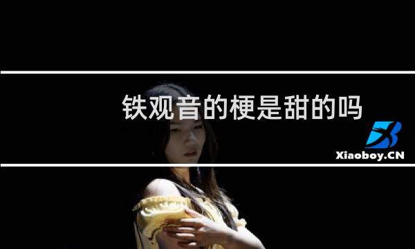 铁观音的梗是甜的吗