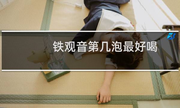 铁观音第几泡最好喝