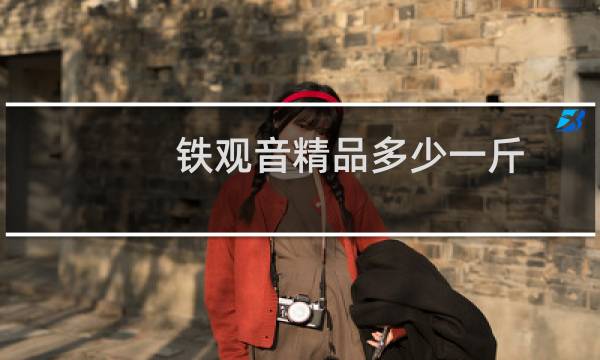 铁观音精品多少一斤