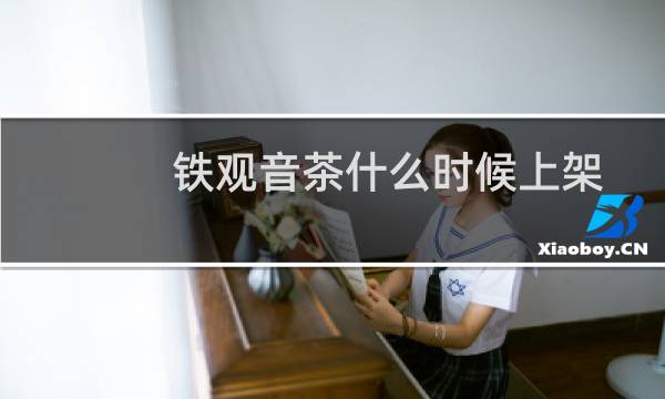 铁观音茶什么时候上架