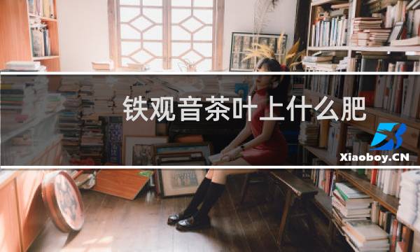 铁观音茶叶上什么肥