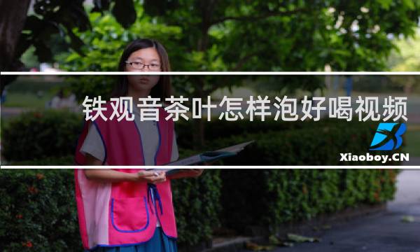 铁观音茶叶怎样泡好喝视频