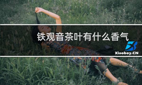 铁观音茶叶有什么香气