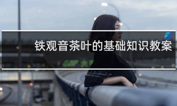 铁观音茶叶的基础知识教案