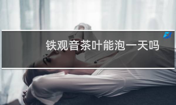 铁观音茶叶能泡一天吗