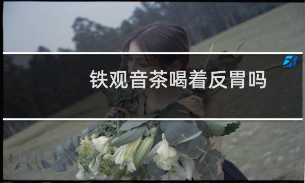 铁观音茶喝着反胃吗