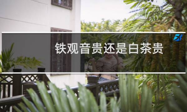 铁观音贵还是白茶贵