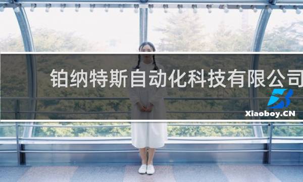 铂纳特斯自动化科技有限公司