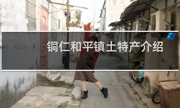 铜仁和平镇土特产介绍