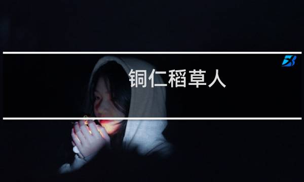 铜仁稻草人