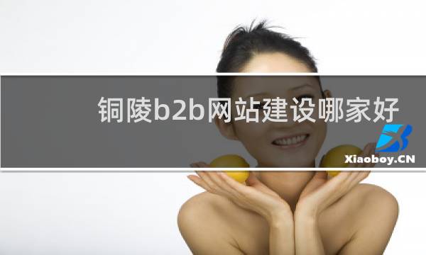 铜陵b2b网站建设哪家好
