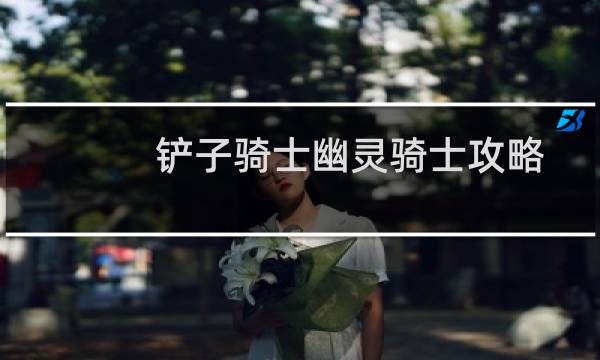 铲子骑士幽灵骑士攻略