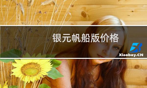 银元帆船版价格