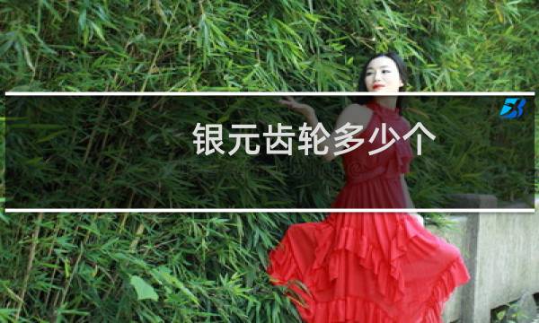 银元齿轮多少个