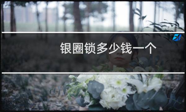 银圈锁多少钱一个