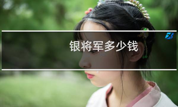 银将军多少钱