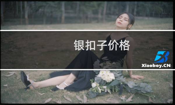 银扣子价格