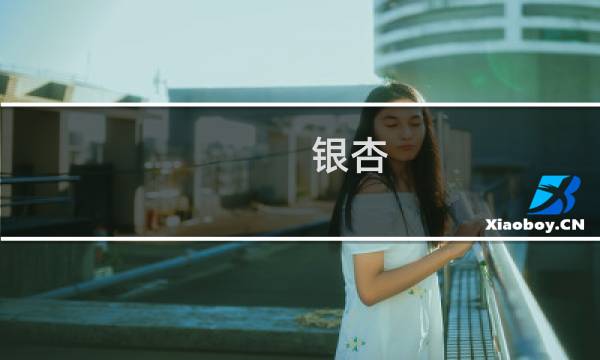 银杏 什么梗