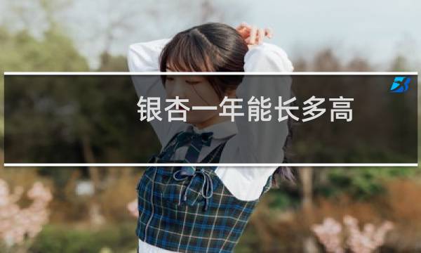 银杏一年能长多高