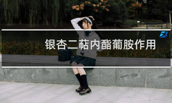 银杏二萜内酯葡胺作用