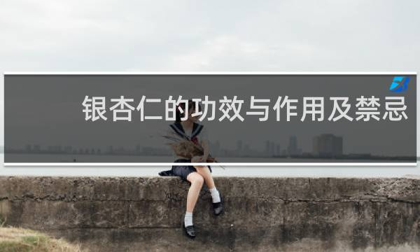 银杏仁的功效与作用及禁忌