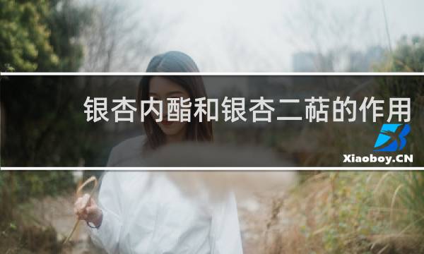 银杏内酯和银杏二萜的作用