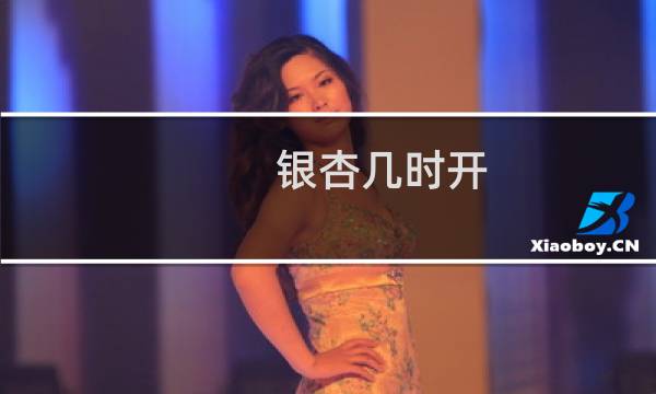 银杏几时开