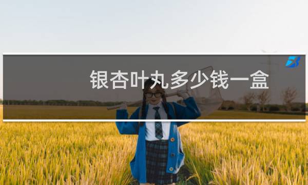 银杏叶丸多少钱一盒