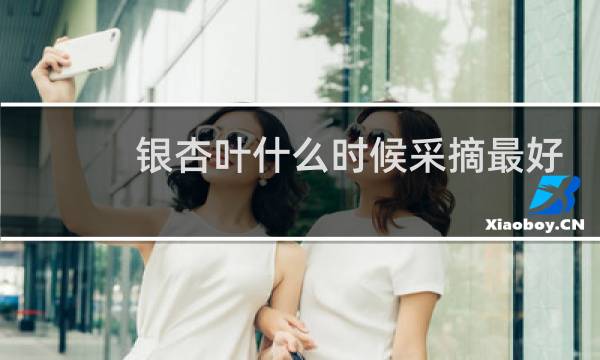 银杏叶什么时候采摘最好