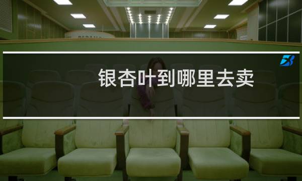 银杏叶到哪里去卖