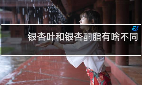 银杏叶和银杏酮脂有啥不同