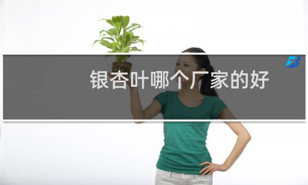 银杏叶哪个厂家的好