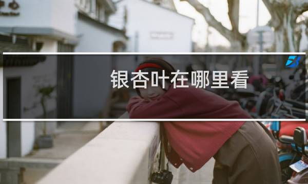银杏叶在哪里看
