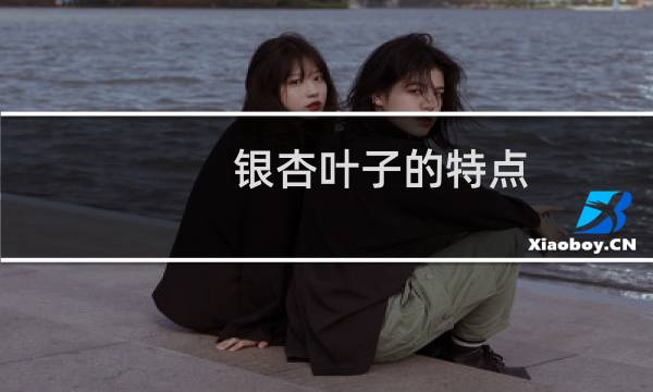 银杏叶子的特点